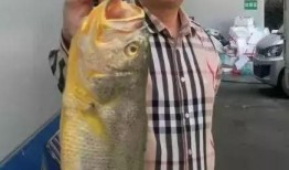 宁波爆料小伙伴被抓视频,宁波爆料小伙伴被抓事件视频曝光